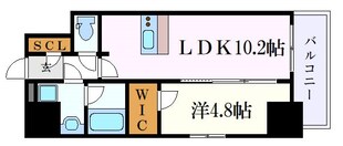 ディアレイシャス浅間町の物件間取画像